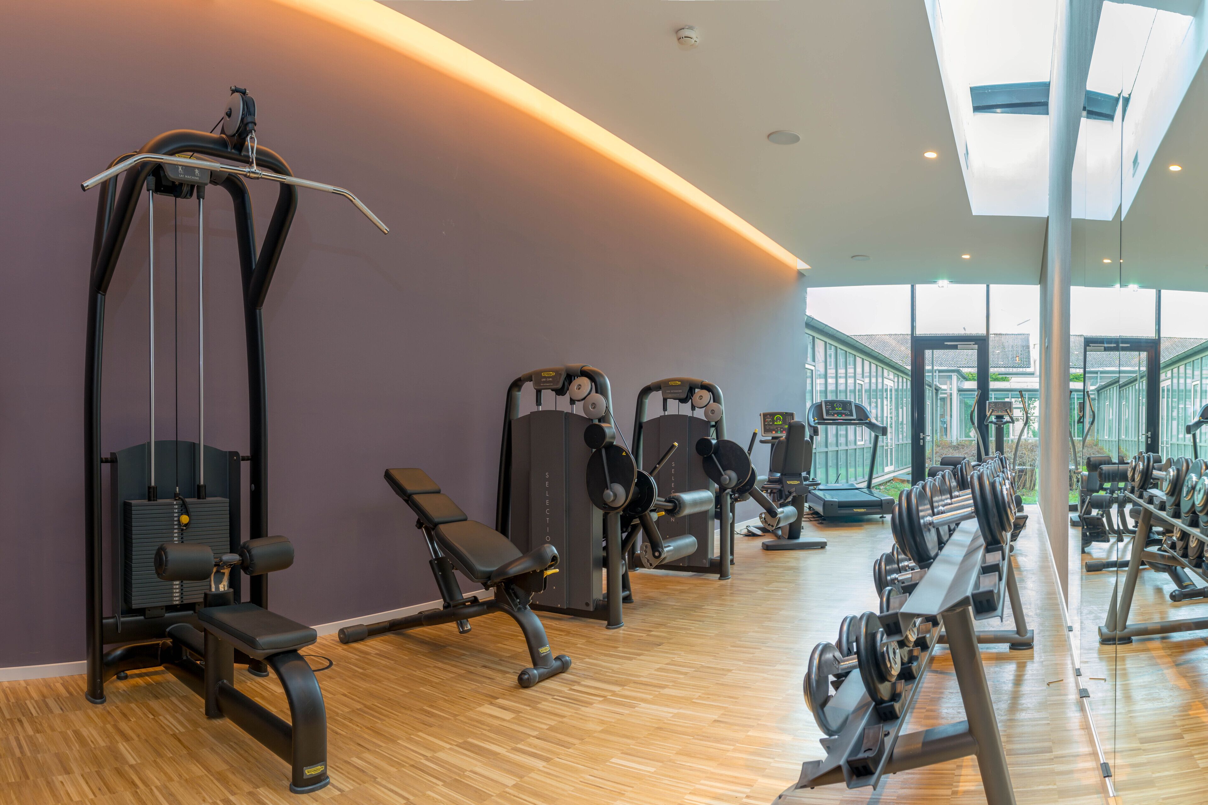 Ein Fitnessstudio mit verschiedenen Trainingsgeräten, darunter Laufbänder, Kraftgeräte und Kurzhanteln.