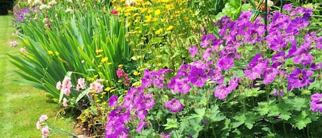 Jardin