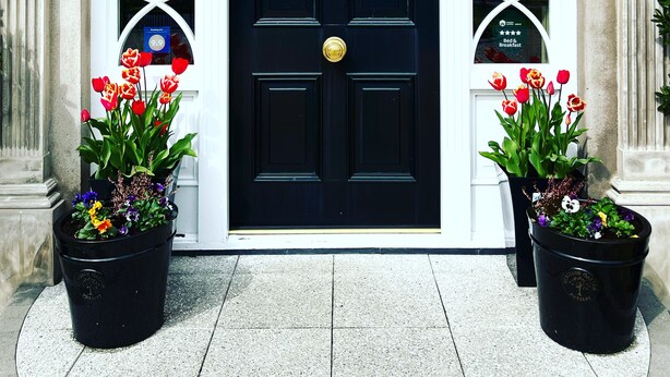 A black door with a wreath, flanked by two flower pots with red tulips, and a window with a sign indicating a 9.9 rating. - Ashbrook House B&B (Dungannon)