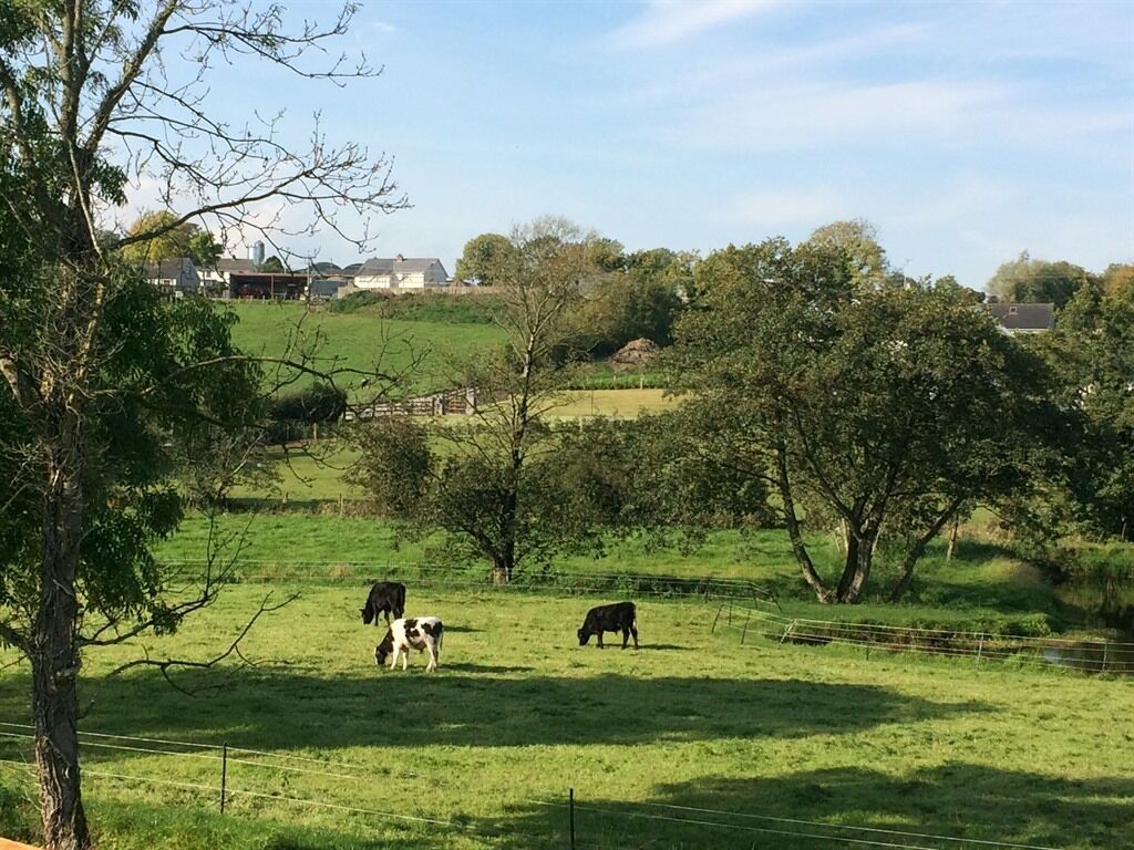 Paisaje rural con un cercado, árboles y una construcción a lo lejos.