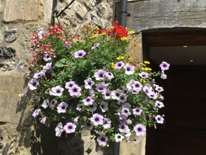 Vue depuis l’hébergement