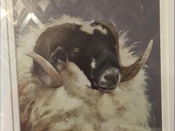 A framed picture of a sheep with horns and a white fleece.