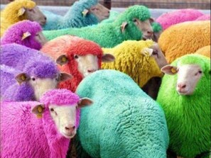 Utsikt fra overnattingsstedet