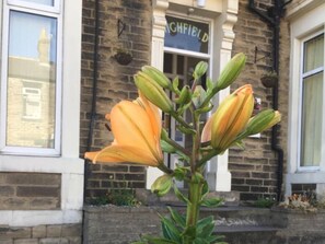 Utsikt fra overnattingsstedet