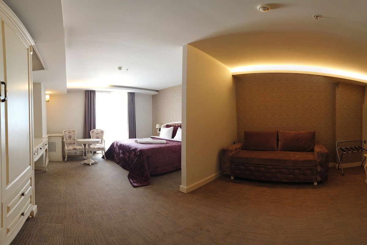 A hotel room with a bed, a sofa, a desk, and a chair.