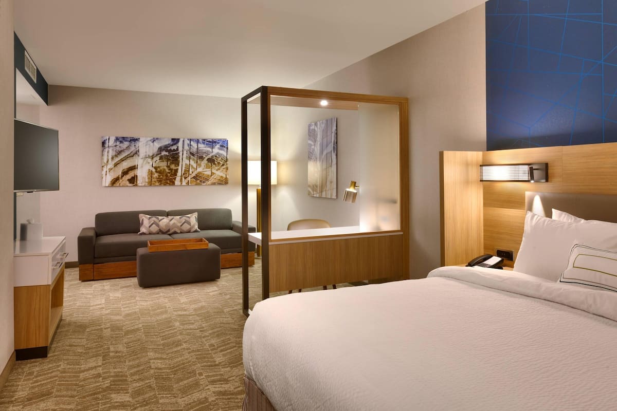 A hotel room with a bed, a sofa, a desk, and a TV.