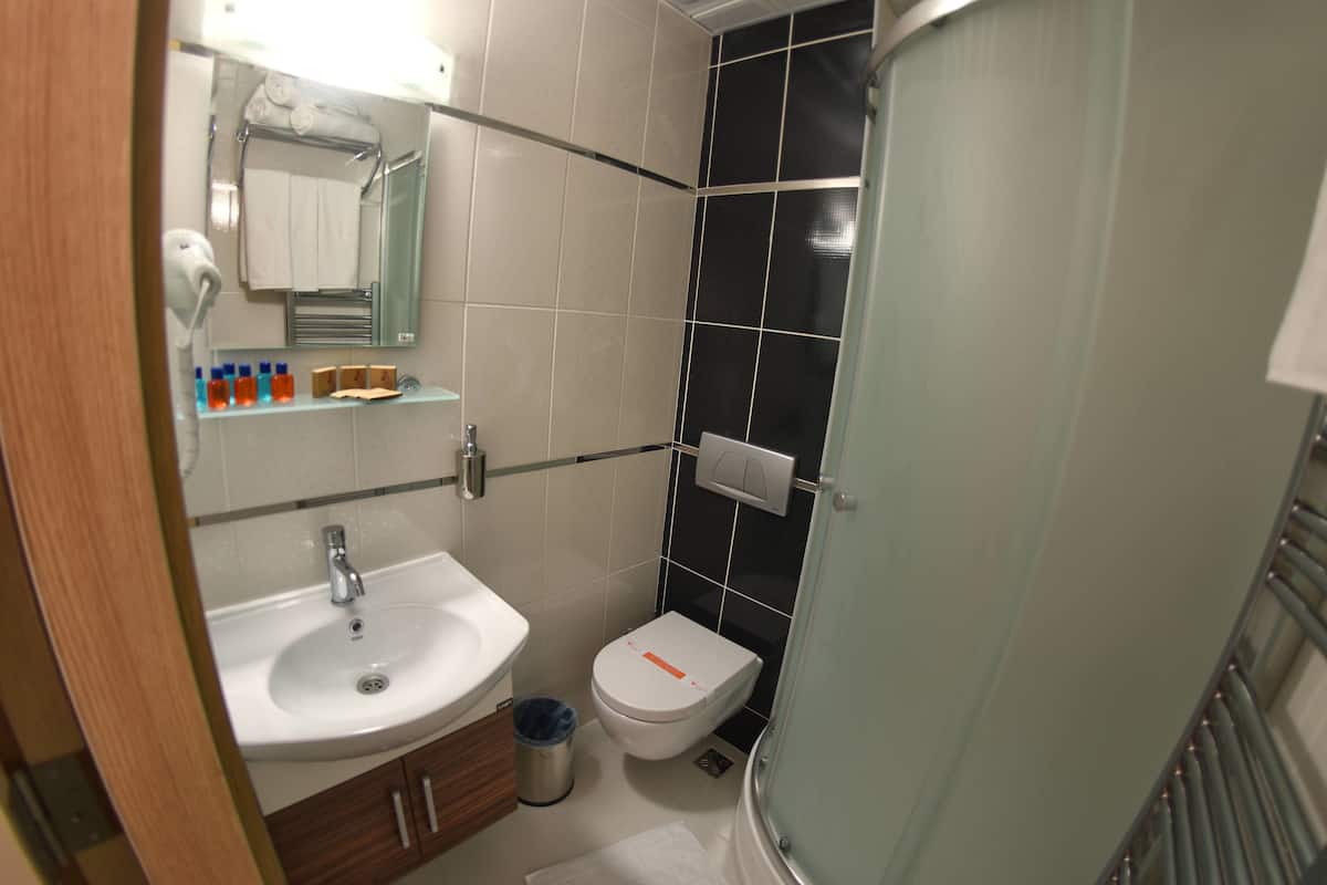 shower, free toiletries, hair dryer, slippers