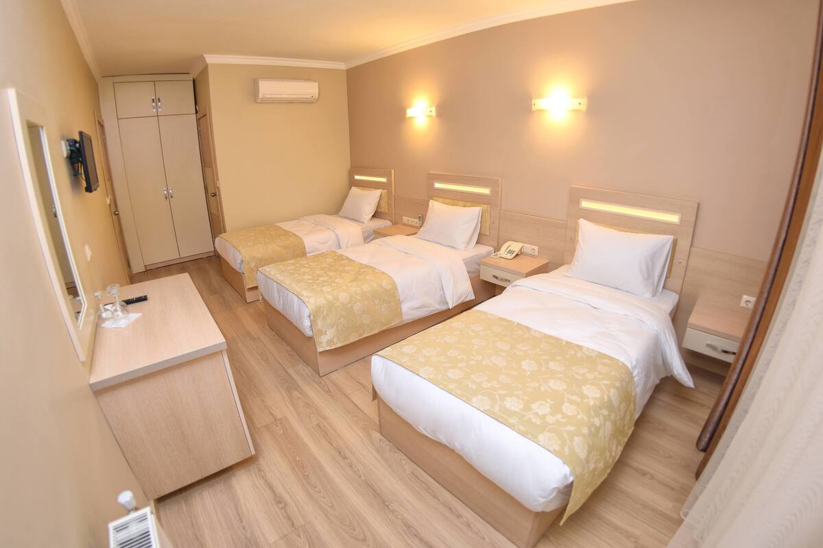Habitación triple | Caja fuerte, escritorio, tabla de planchar con plancha y wifi gratis