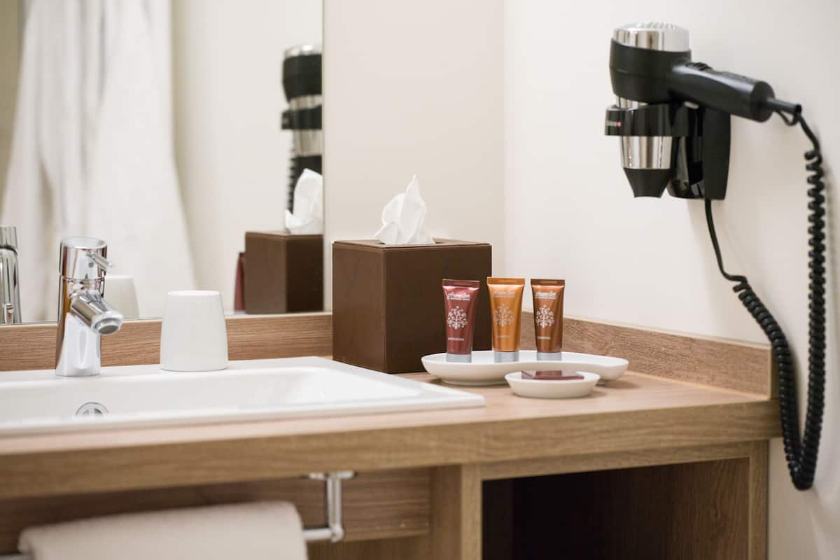 premium double room, 1 king bed, non smoking | bathroom | shower, free toiletries, hair dryer, bathrobes