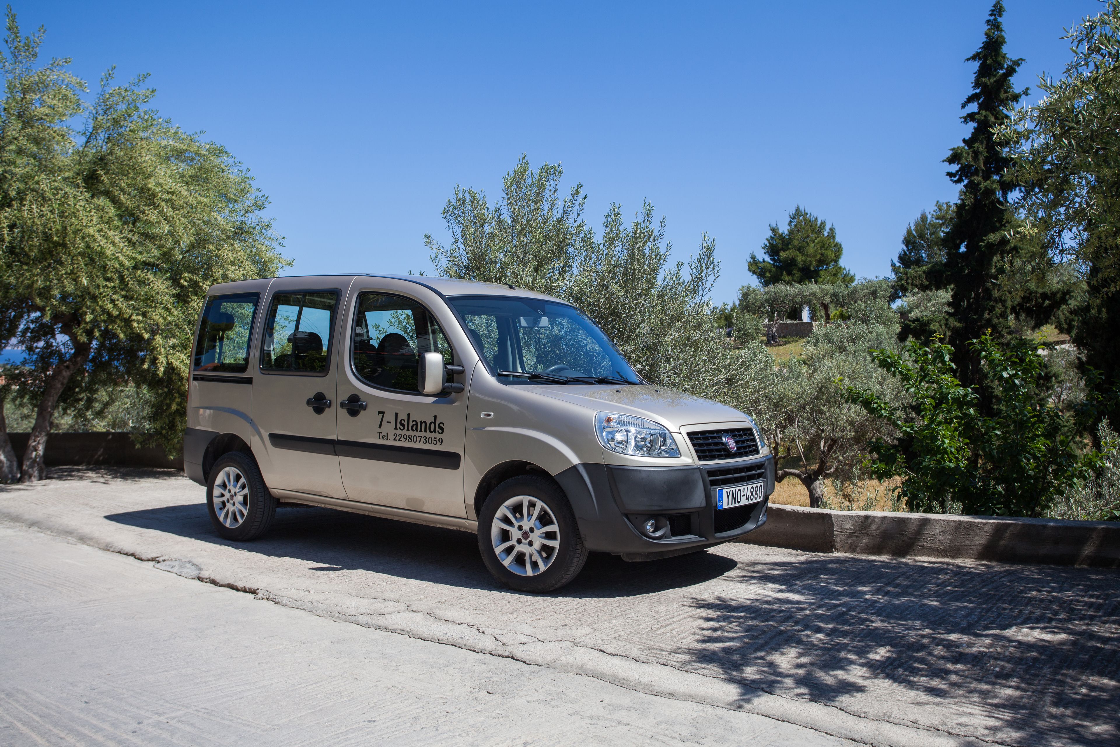 A beige van parked on a paved road with trees and shrubs in the background.