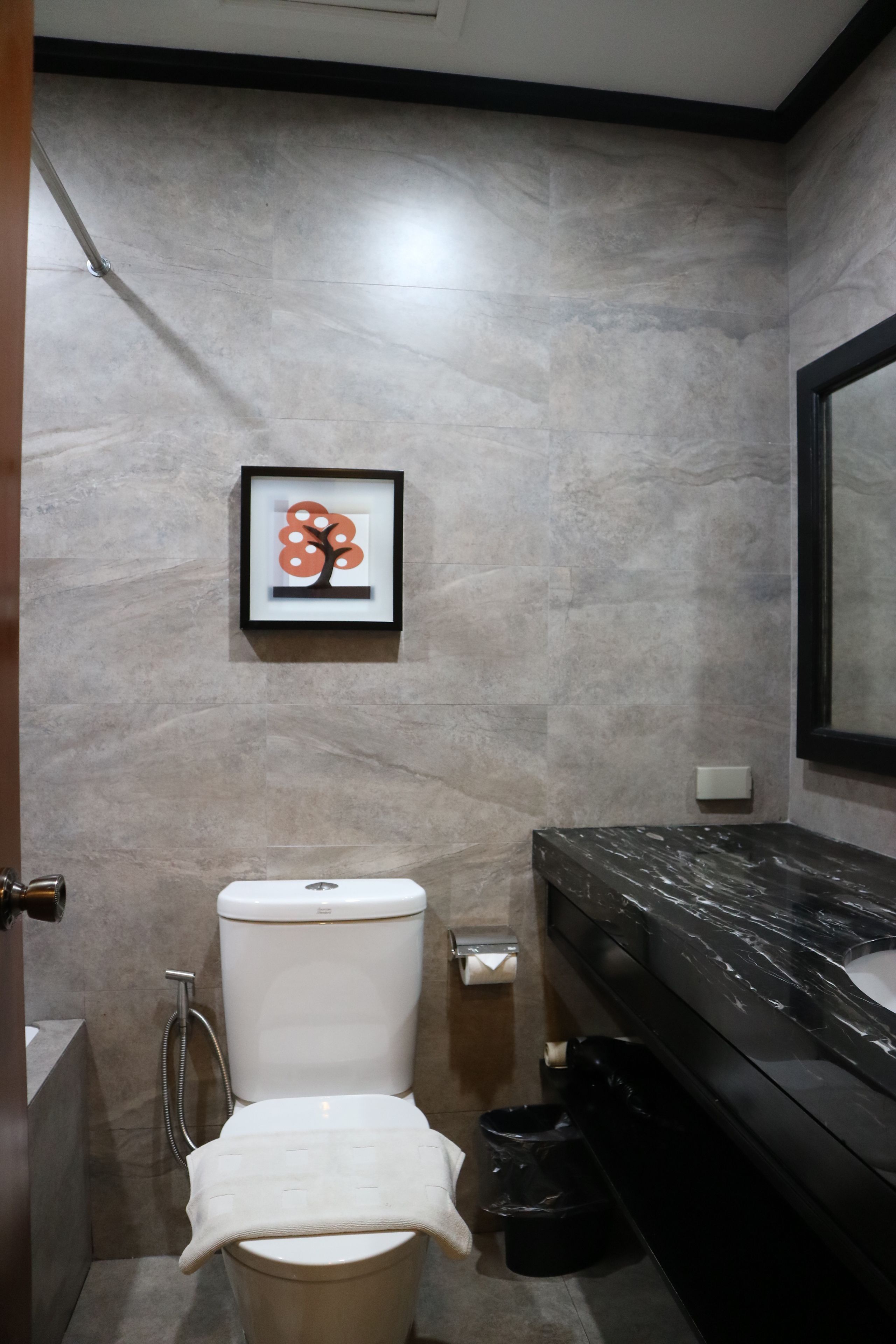 combined shower/bathtub, free toiletries, hair dryer, bathrobes