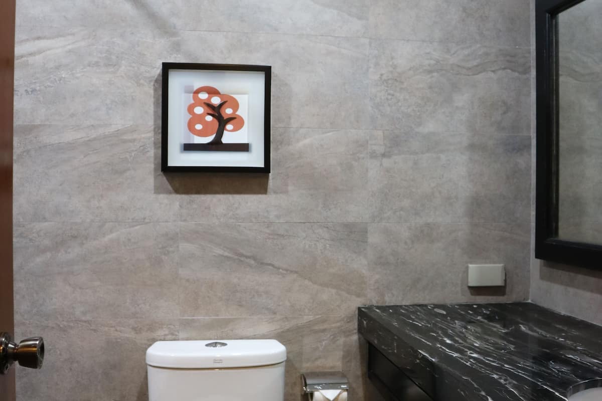 combined shower/bathtub, free toiletries, hair dryer, bathrobes