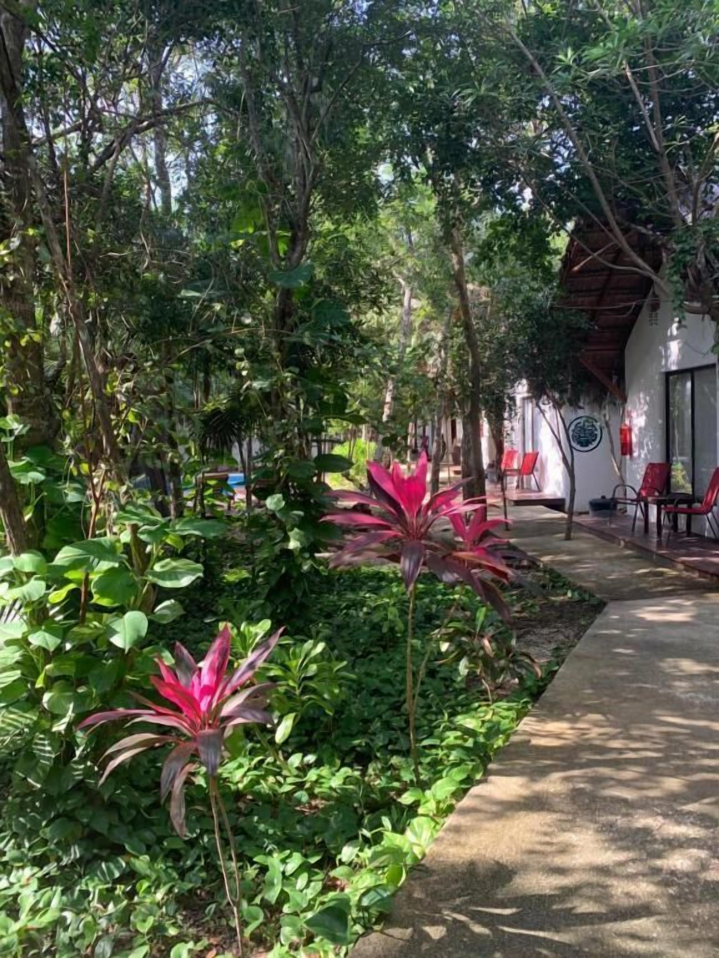 A pathway lined with lush greenery and red flowers, leading to a building with a thatched roof.