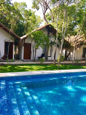 Outdoor pool, sun loungers