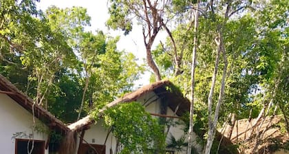 Ecovergel Riviera Maya Hotel Boutique