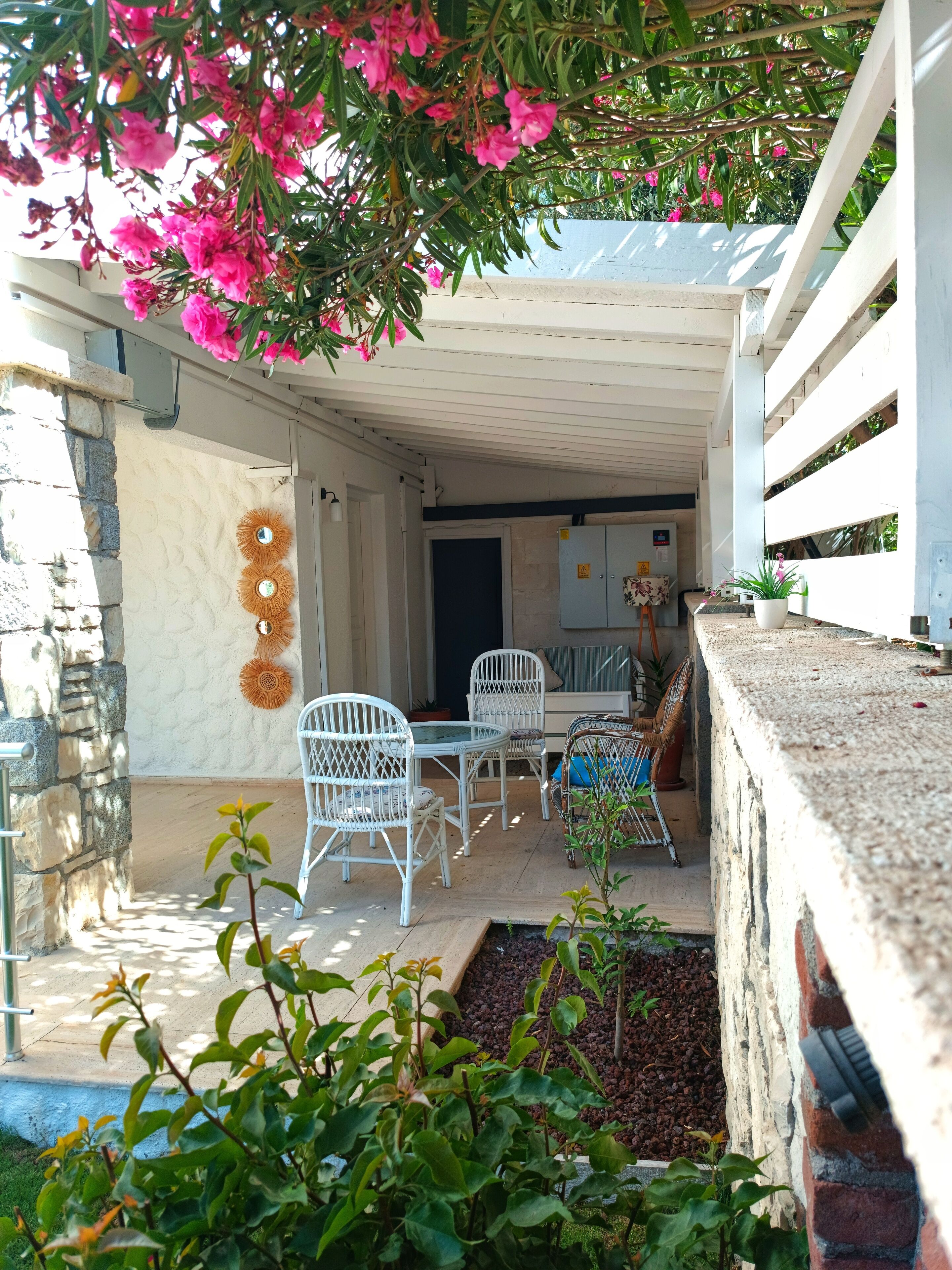 Quarto econômico, vista para o jardim | Terraço/pátio