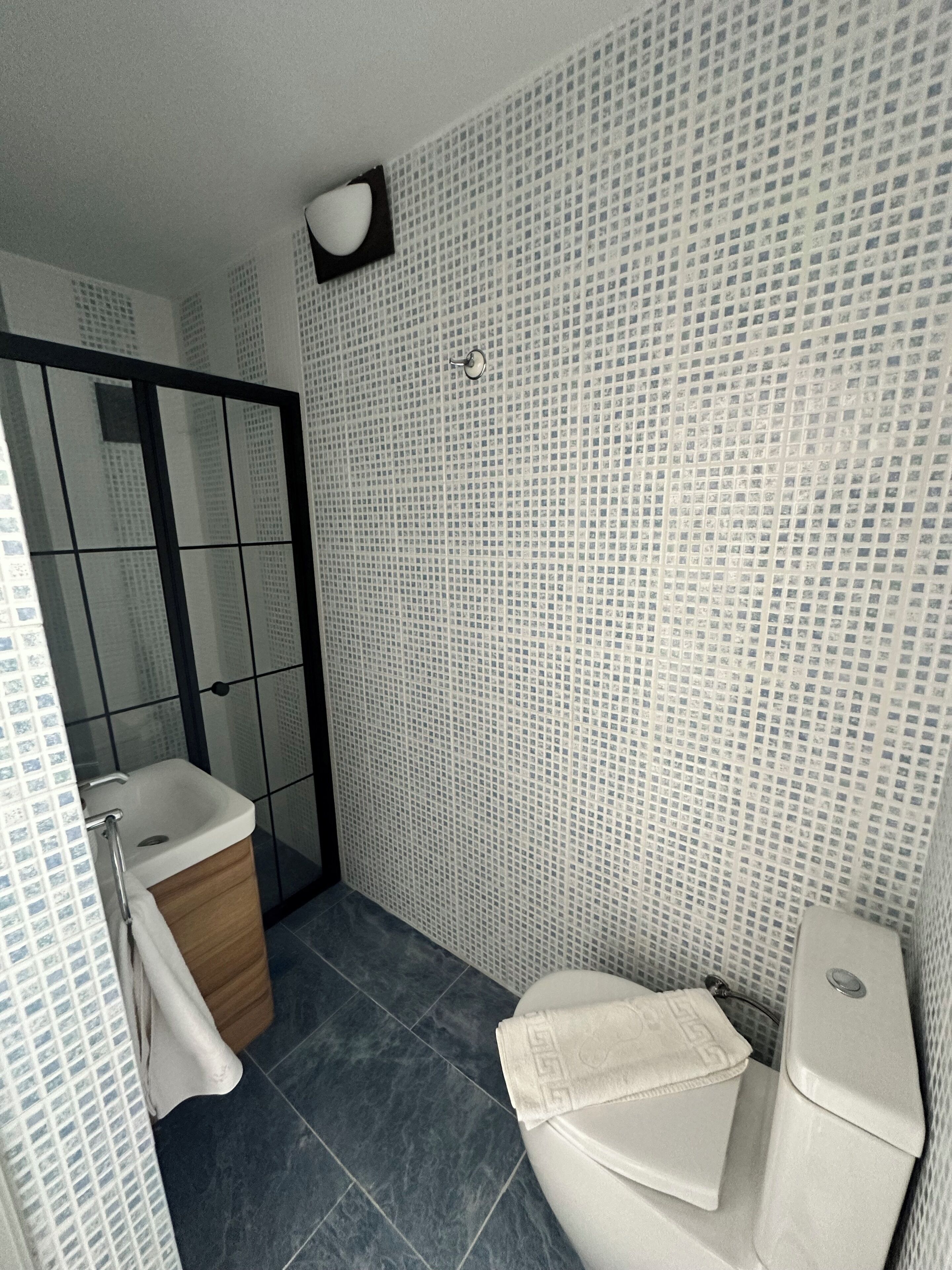 Un baño con inodoro, lavabo y zona de ducha.