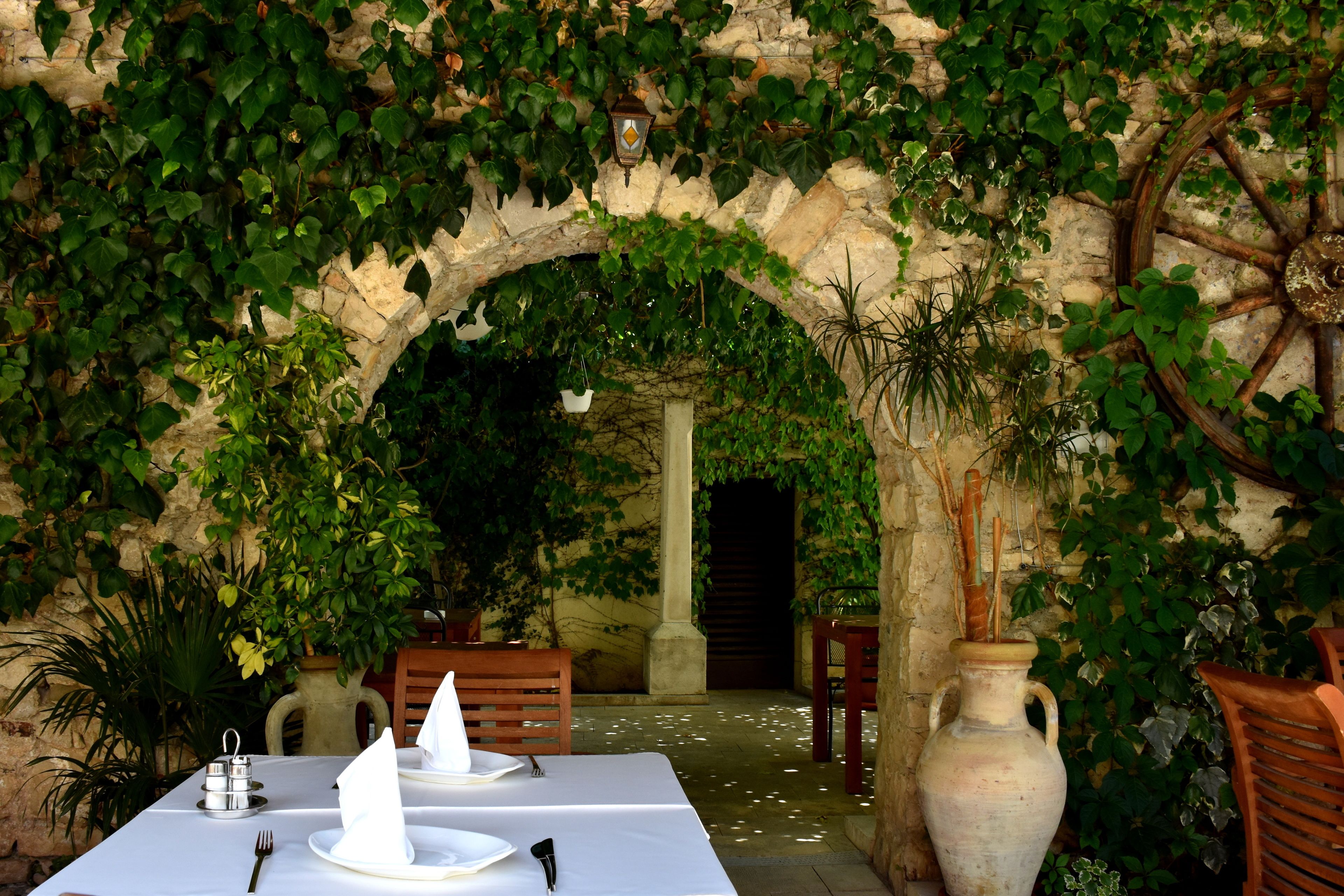 Mediterranean cuisine