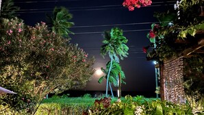 A nighttime garden with a pathway, various plants, and a palm tree. - Pousada San Giovanni (Japaratinga)