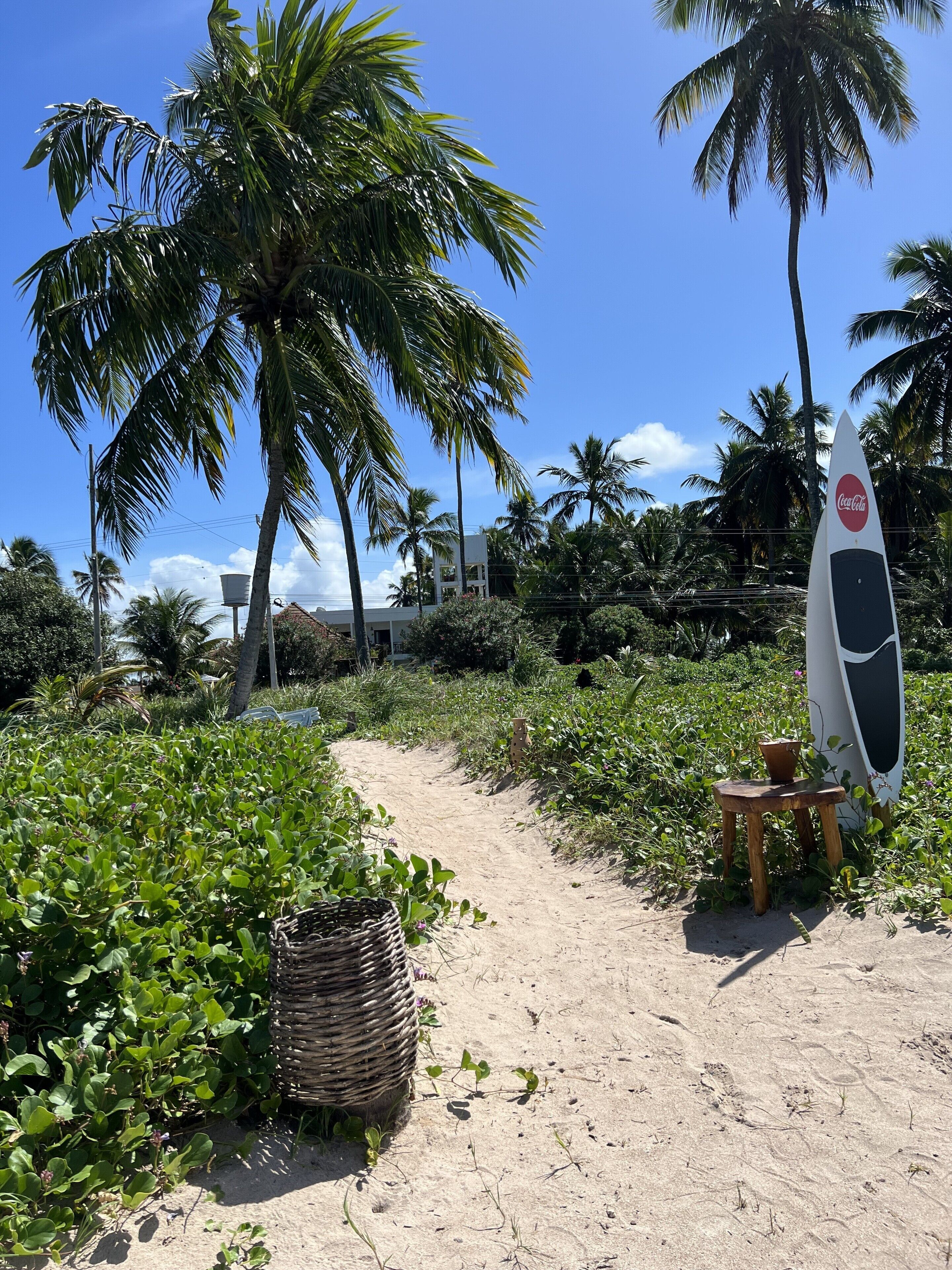 Un sendero arenoso que conduce a una playa con palmeras y una tabla de surf.