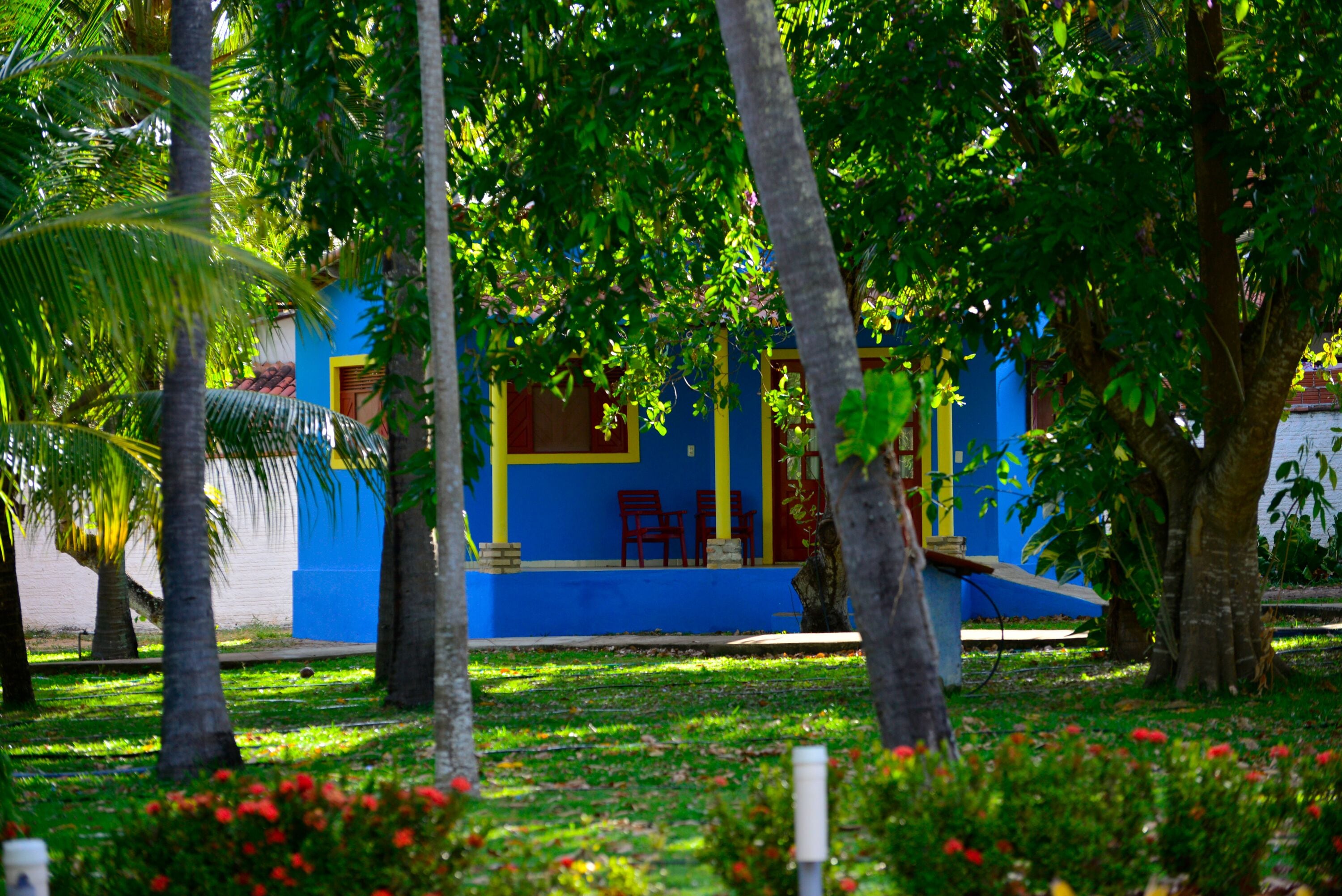 Um edifício azul com cadeiras vermelhas na parte externa, rodeado por árvores e grama.