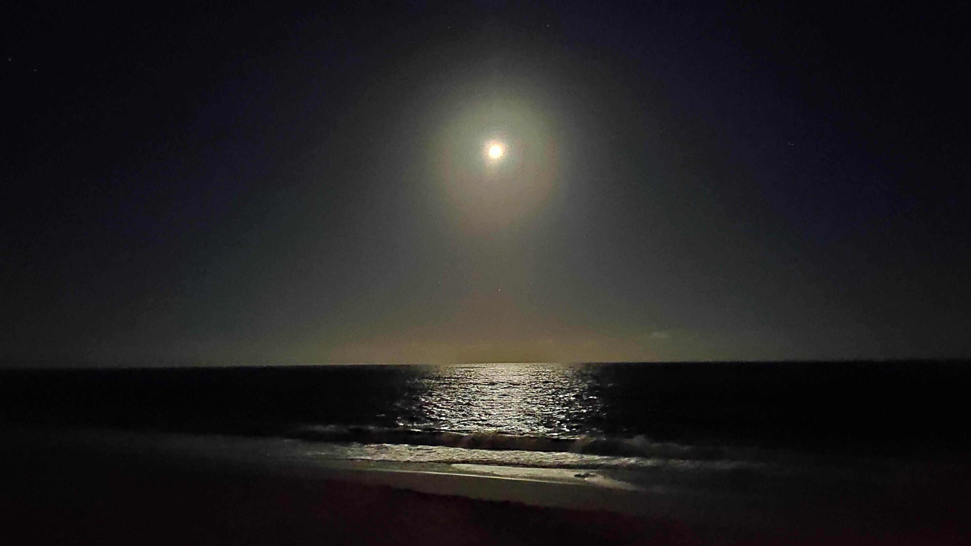 En la playa, arena blanca, camas de playa gratis