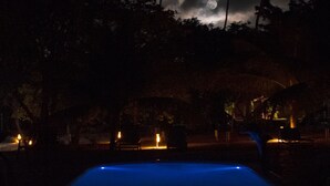 Ein Nachtbild von einem Swimmingpool in Blautönen, umgeben von Palmen und einem dunklen Himmel mit Mond.