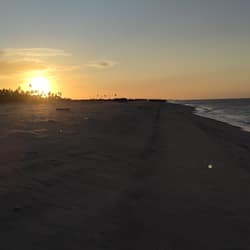 On the beach, white sand, free beach cabanas, beach shuttle