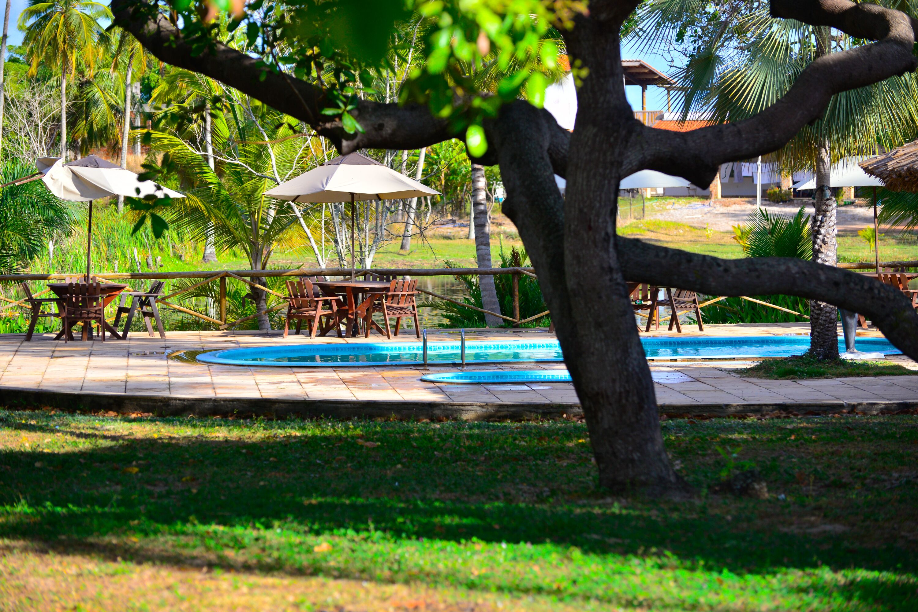 Kolam renang