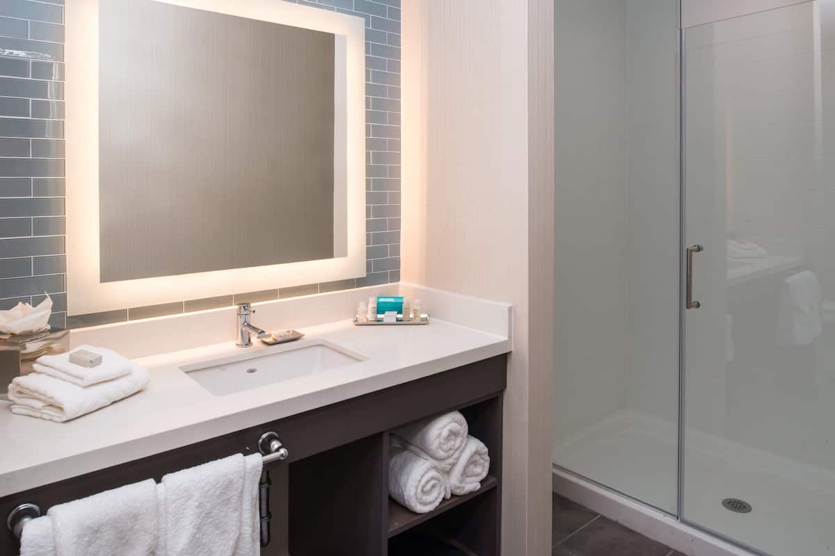 shower, free toiletries, hair dryer, towels