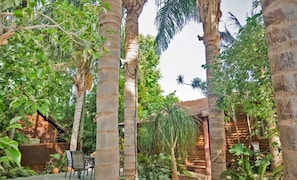 Un jardín tropical con palmeras, una cabaña de madera y un área de patio con sillas.