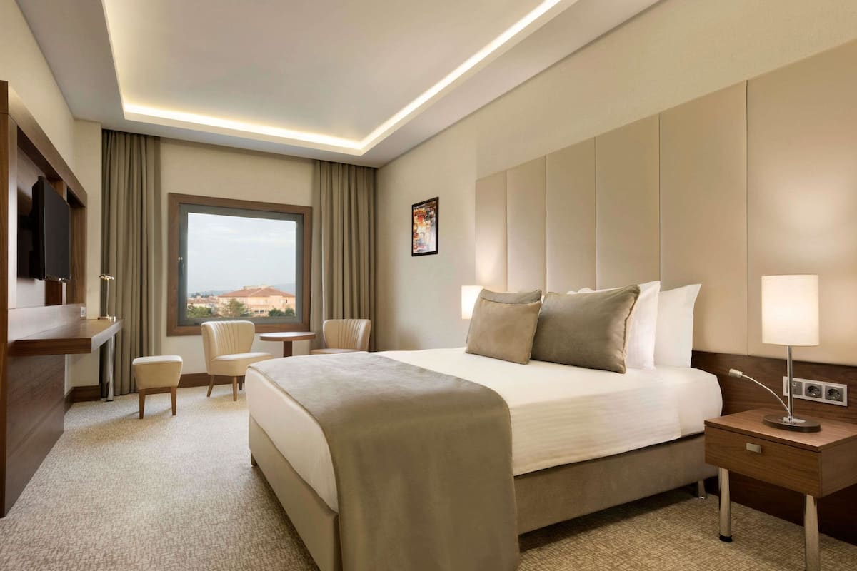Habitació d'hotel amb un llit gran, escriptori, cadira, televisió i finestra amb vistes.