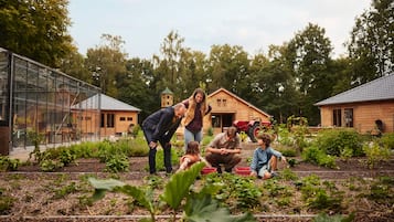 Activiteiten voor kinderen