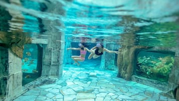 Indoor pool, outdoor pool, lifeguards on site