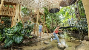 An indoor jungle-themed play area with wooden structures, a rope bridge, and a small stream. - Center Parcs Het Heijderbos (Heijen)