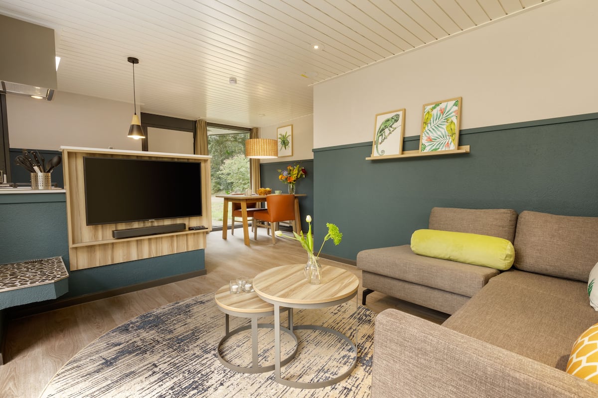 A modern living room with a flat-screen TV, a sofa, a coffee table, and a dining area with a table and chairs.