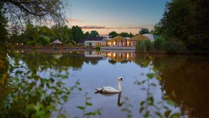 Um lago calmo com um cisne, rodeado por árvores e edifícios com um coreto e um pavilhão.