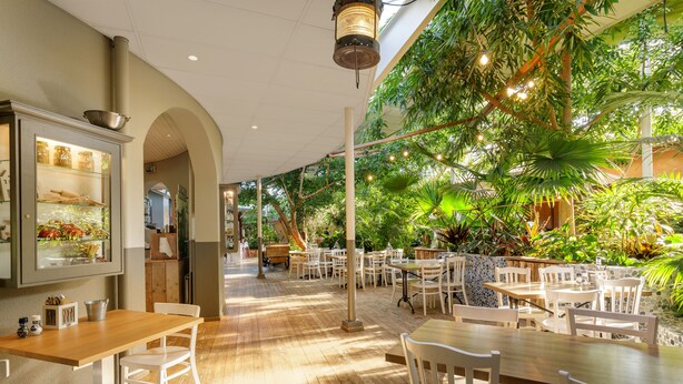 Restaurante interno com mesas de madeira e cadeiras brancas, rodeado por vegetação exuberante e plantas.