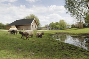 Children's activities - Center Parcs Parc Sandur (Emmen)