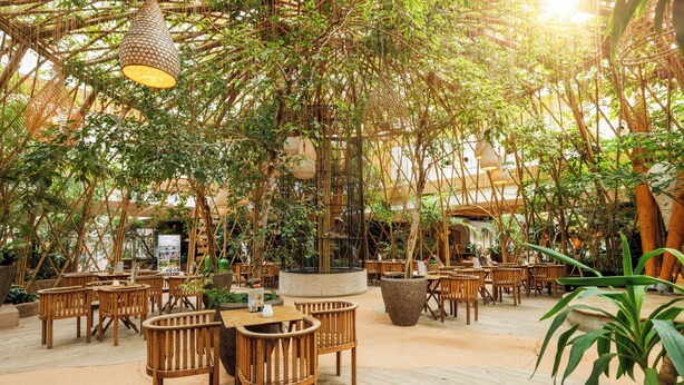 An indoor dining area with wooden tables and chairs, surrounded by lush greenery and hanging light fixtures. - Center Parcs Parc Sandur (Emmen)