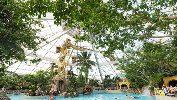 An indoor swimming pool with a glass ceiling, palm trees, and a waterfall feature. - Center Parcs De Vossemeren (Lommel)