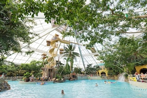 An indoor swimming pool with a glass ceiling, palm trees, and a waterfall feature.