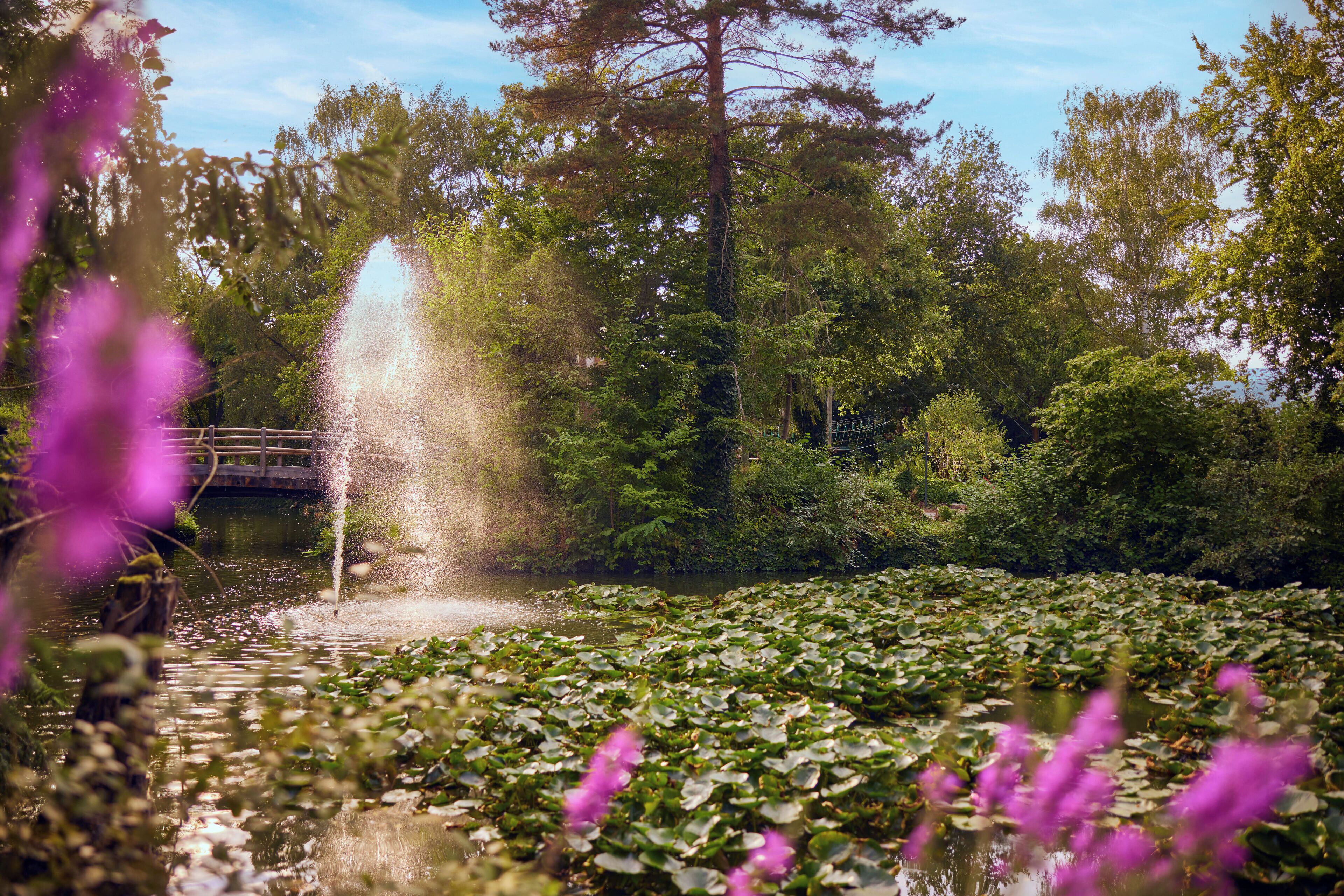A tranquil pond with a fountain, surrounded by lush greenery and a wooden bridge.