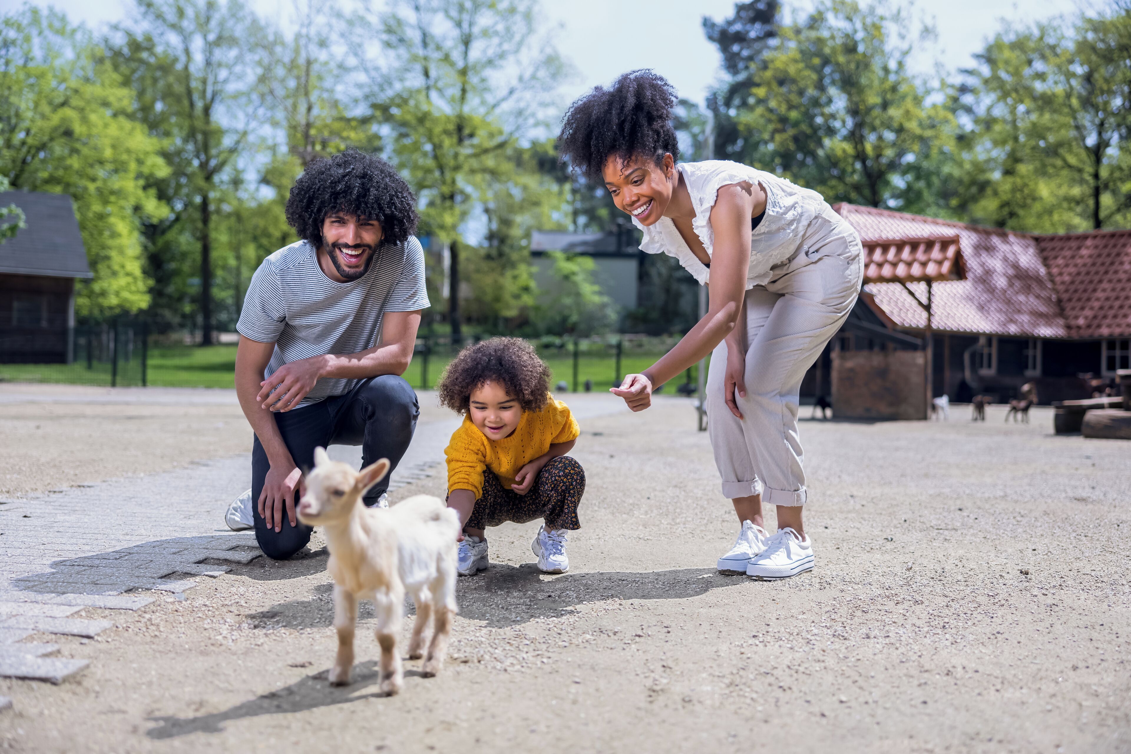 Une famille interagit avec un petit chien sur une zone pavée, avec des arbres et un bâtiment en arrière-plan.