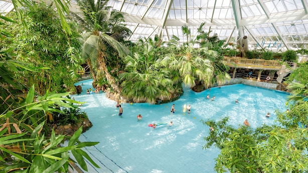 Une piscine intérieure entourée d’une végétation tropicale luxuriante et dotée d’un toit en verre.