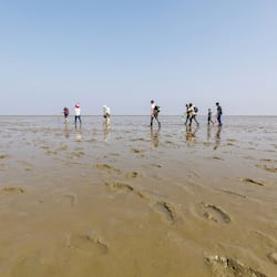 On the beach