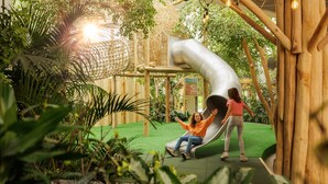 A playground with a slide and climbing structures surrounded by greenery. - Center Parcs Park Eifel (Gunderath)