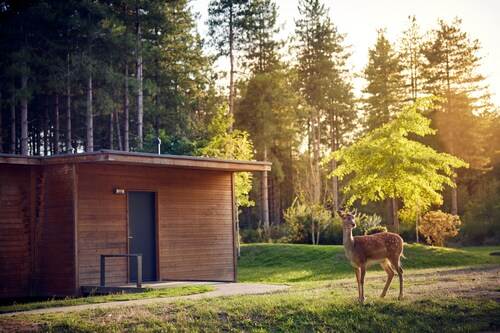 Center Parcs Le Bois aux Daims