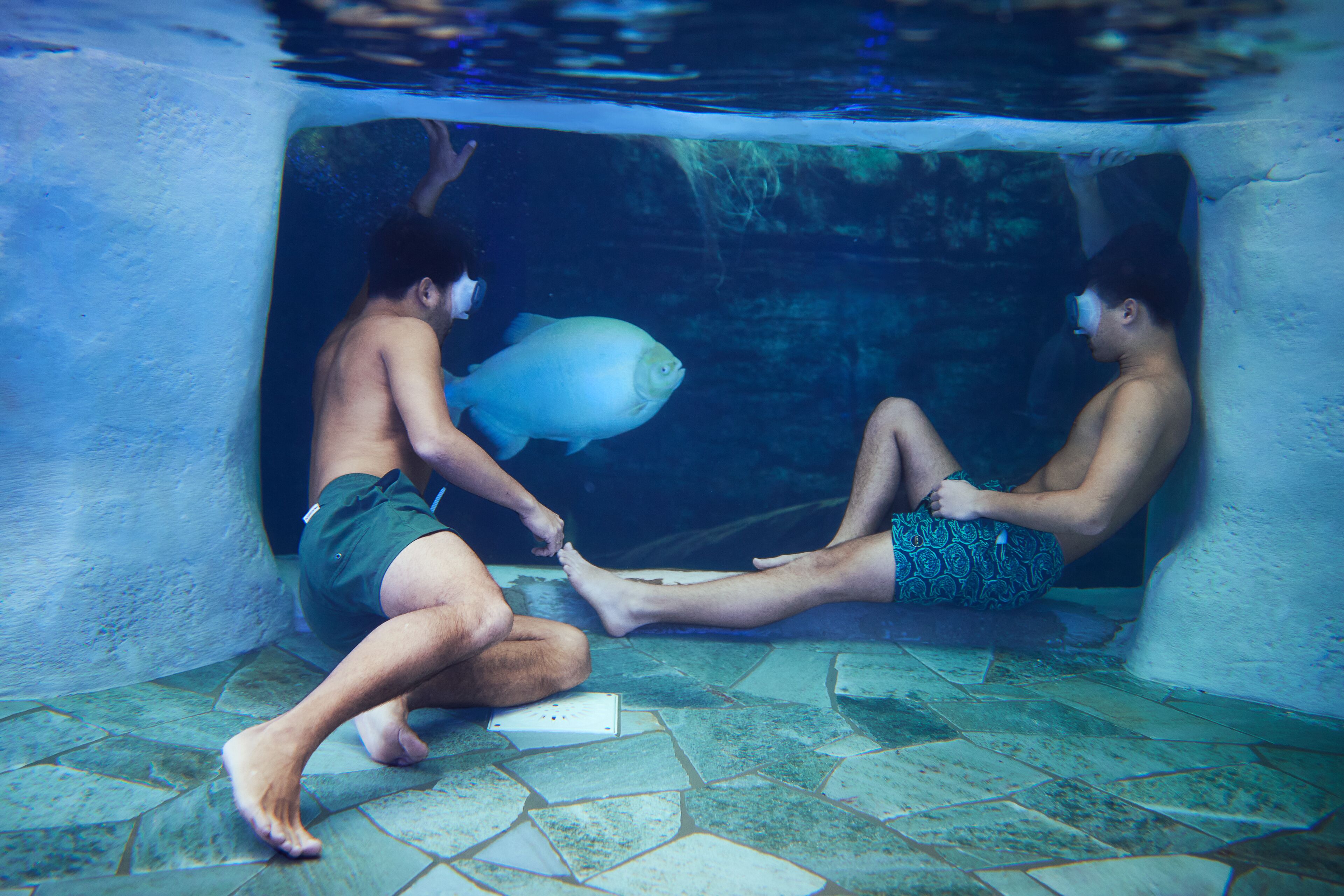 室内游泳池，室外游泳池