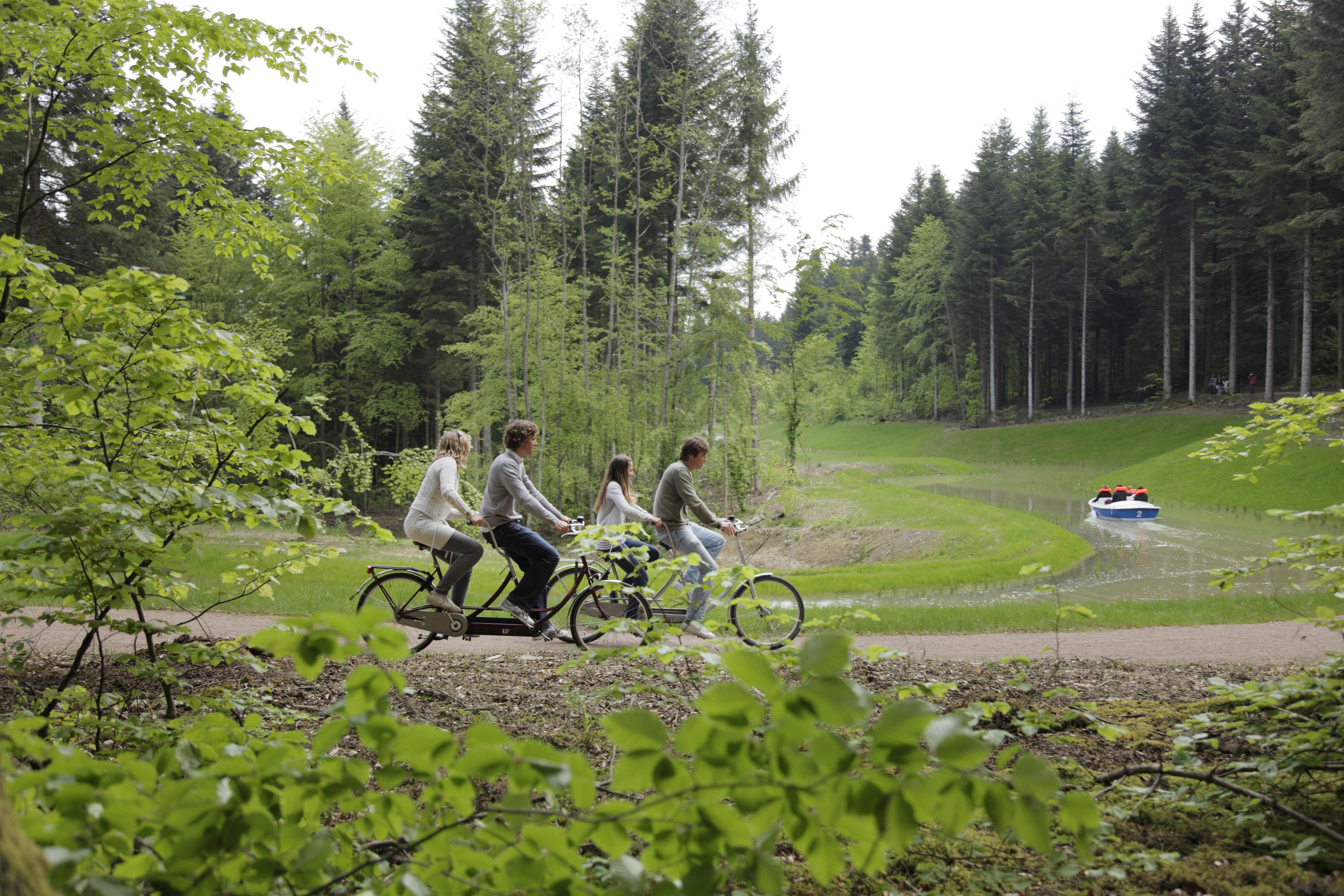 A group of people riding bicycles on a path surrounded by greenery and trees.